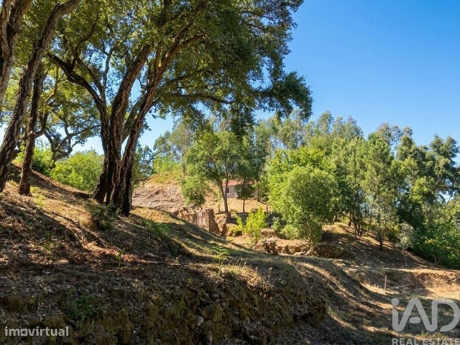 Quinta em Castelo