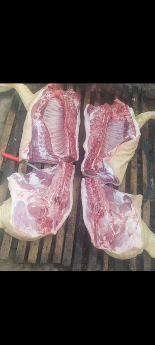 Домашня свинина частинами туша півтуша четвертинна