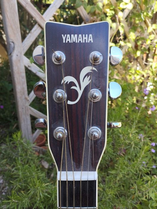 YAMAHA FG-441 Acoustic Guitar / Guitarra