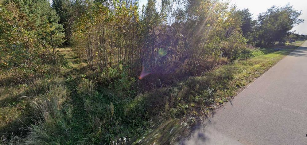 Działka budowlana 1,2 ha – Karolówka, cisza, las, 10 min do Biłgoraja - Widok 6
