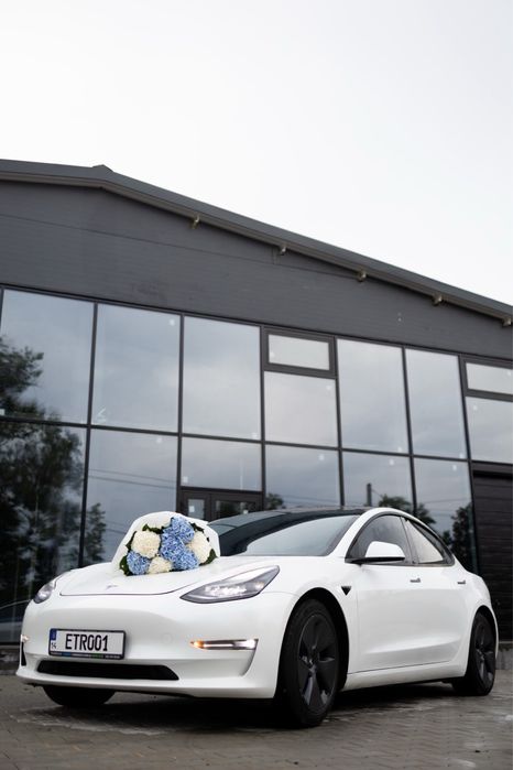 Прокат 24/7 оренда Тесла