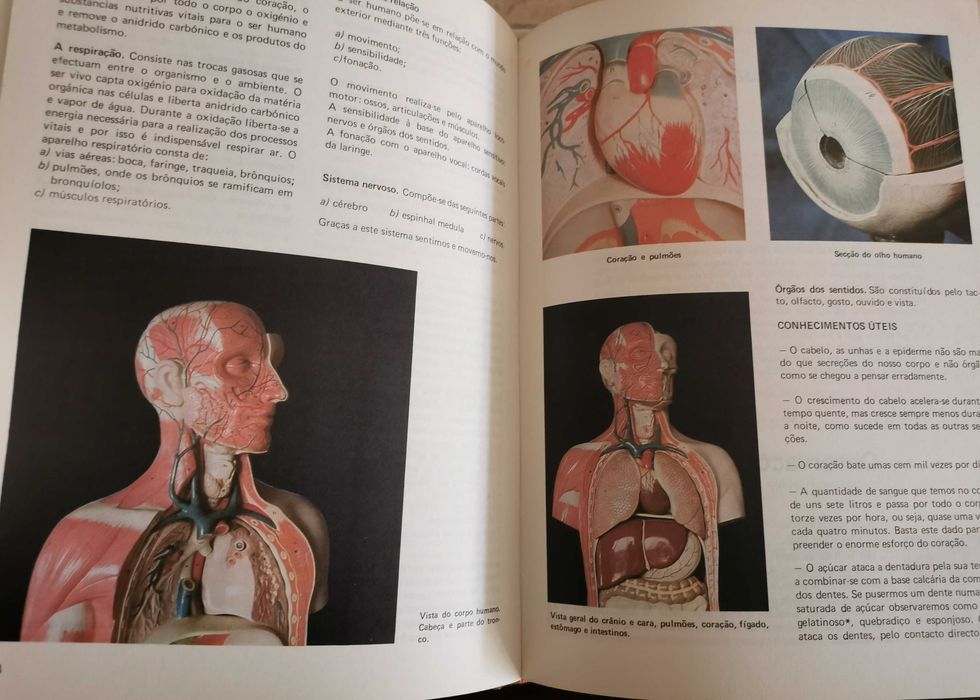 Enciclopédia de Cultura Geral - conjunto de 4 livros