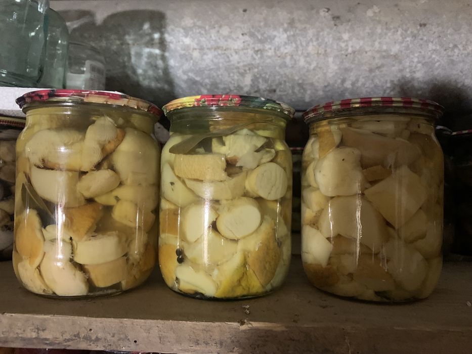 Гриби білі Закарпатські