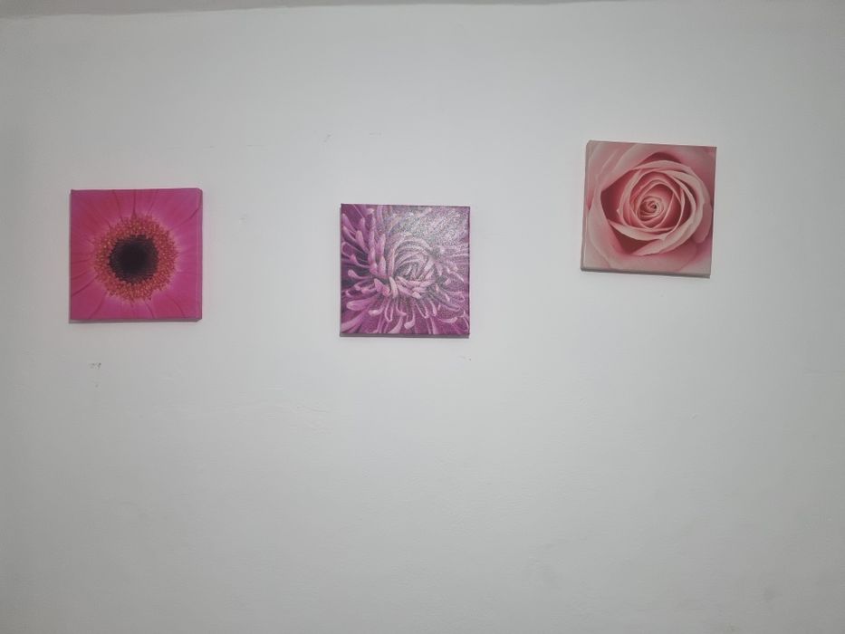 Quadros em tela 15€ cada