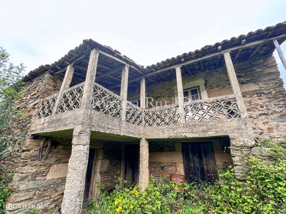 Quintinha de 5 Hectares em Enxames