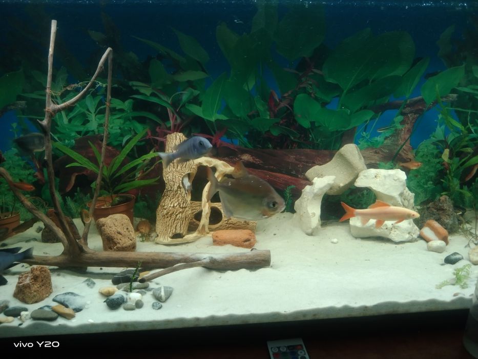 Продам акваріумний кварцовий пісок