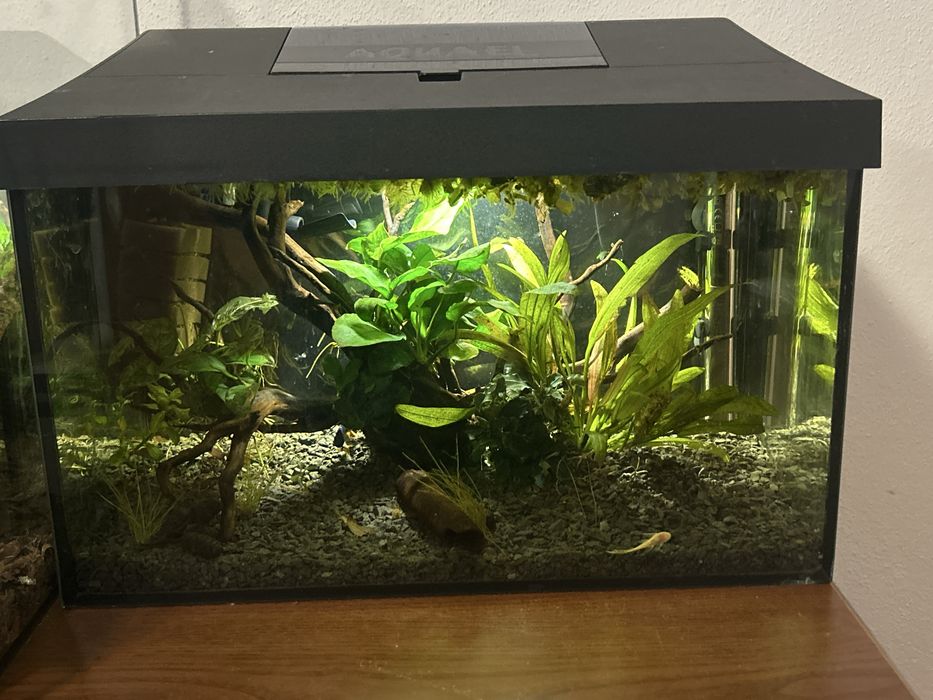 Akwarium Aquael zestaw