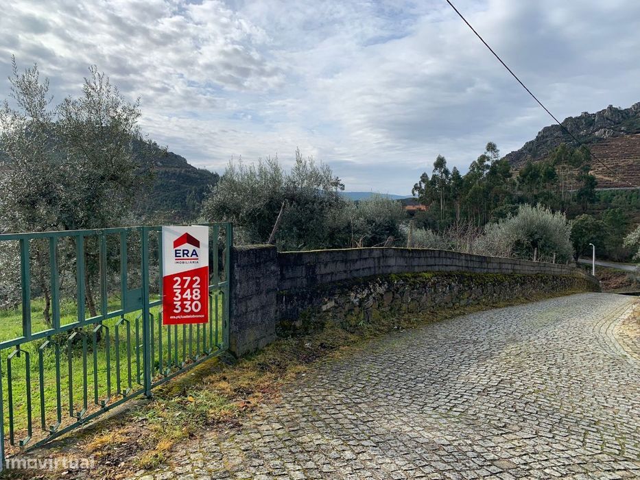 Terreno — Orvalho, Castelo Branco