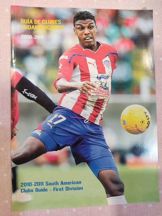Guia de clubes sul americanos 1 liga 2010/11