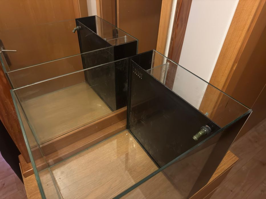 Aquário Cubo – Marinho/Água Doce com Sump