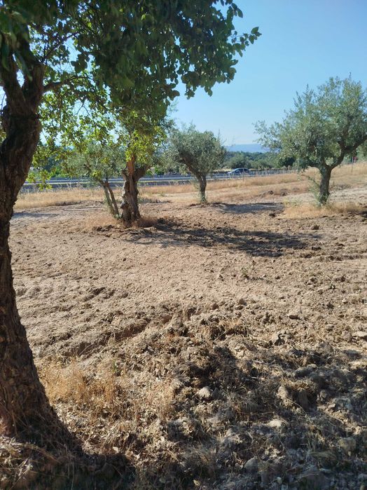 Horta agrícola em Alcains