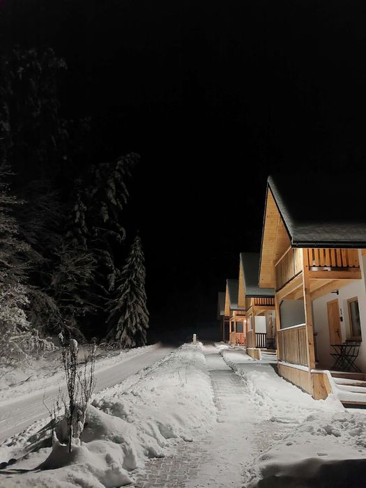 Domki w Bieszczadach - Ferie zimowe