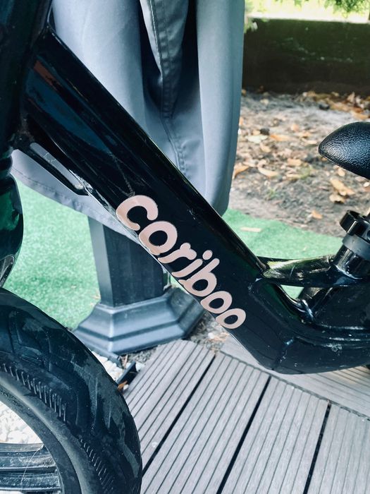 Rowerek biegowy Cariboo Magnesium Pro