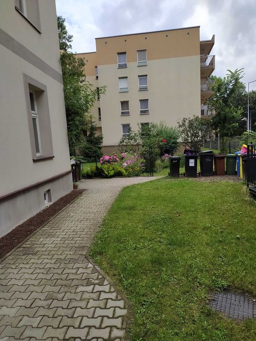 Zdjęcie 7
