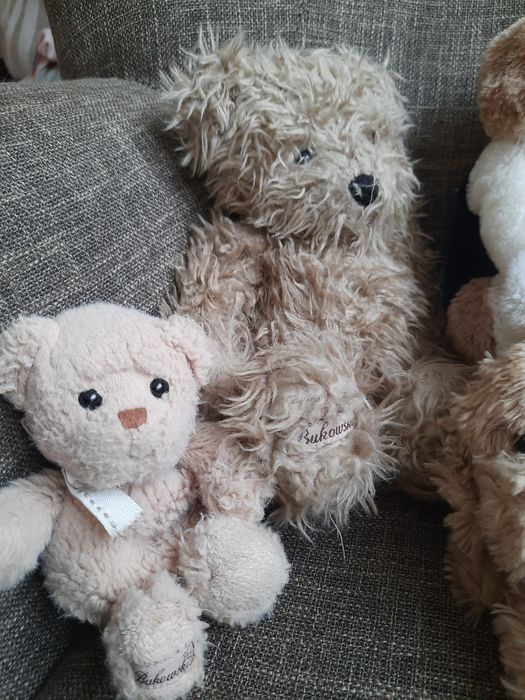 Maskotki Bukowski - misie, pieski