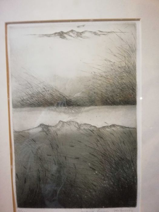 Serigrafia de Irene Ribeiro com moldura
BAIXA DE PREÇO