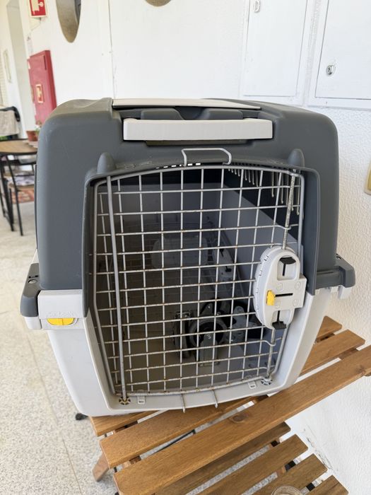 Cauxa de transporte para animais