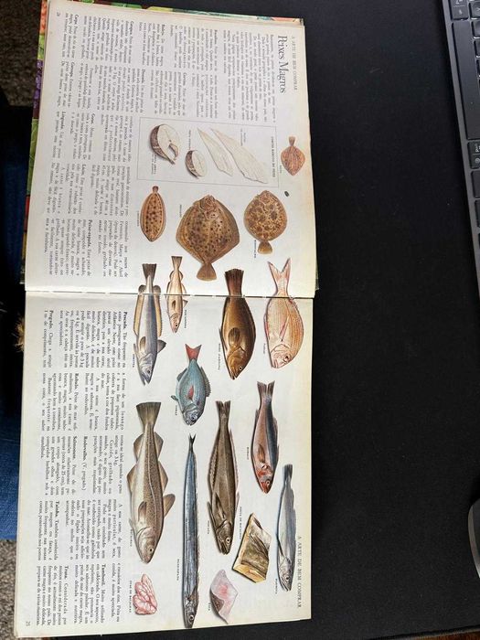 Livro “Doze Meses de Cozinha” – capa dura, ilustrado