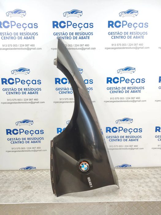 Guardalamas Frente Frontal Original BMW Z4 E89 2009 a 2016