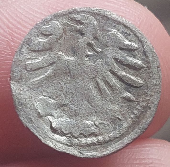 Denar 1501 - 1506 r. Wilno, Aleksander Jagiellończyk