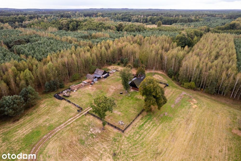 Siedlisko w m. Boruja Nowa