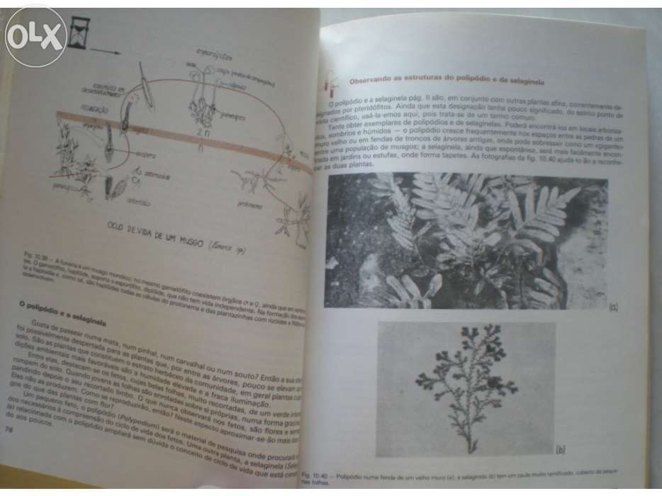 Biologia - espreitar para  vida
