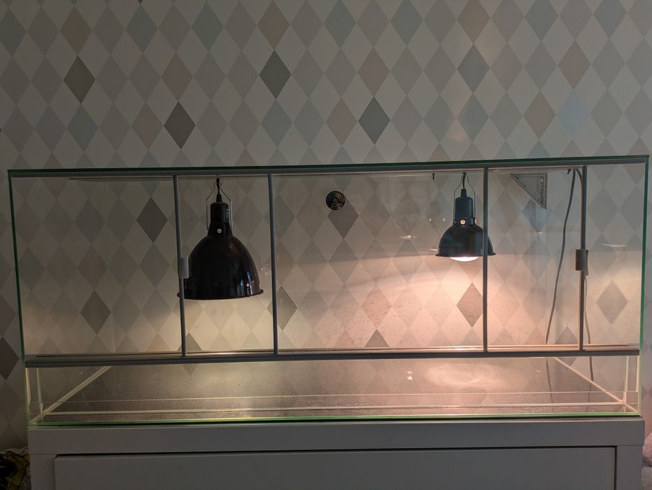 Terrarium dla agamy 120x50x60 cm + pełne wyposażenie