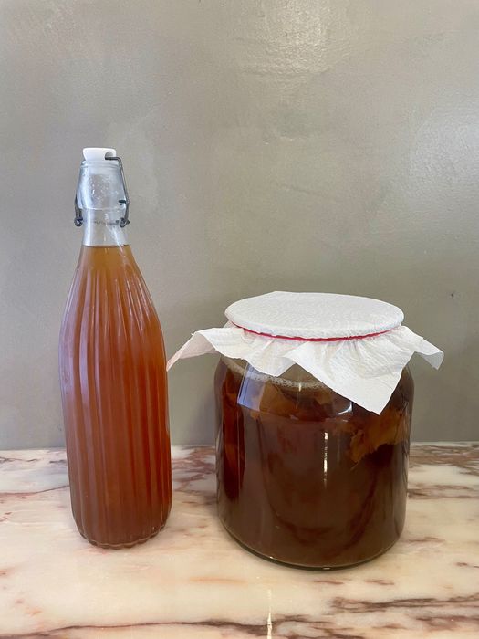 Kombucha - scoby + starter