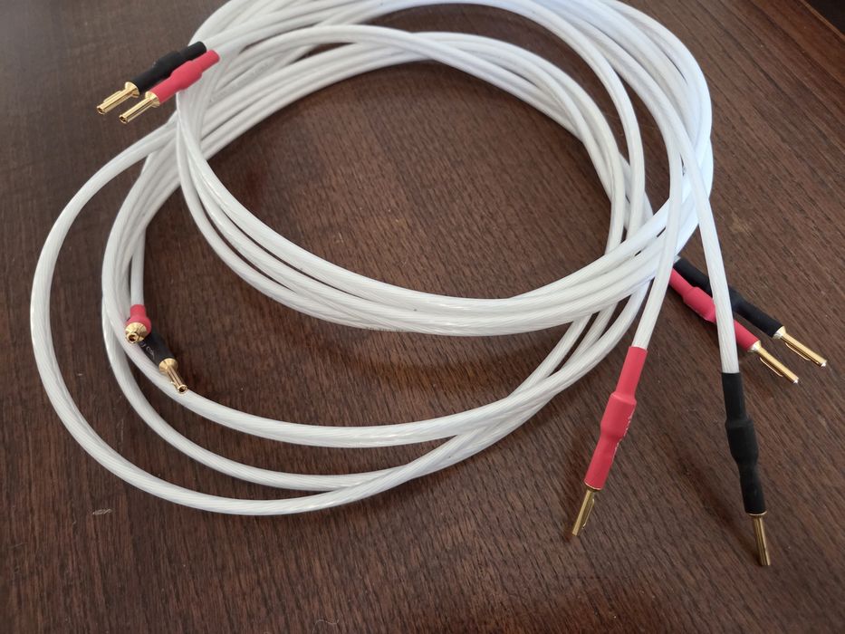 Cabos de coluna Qed Revelation 2x3mts