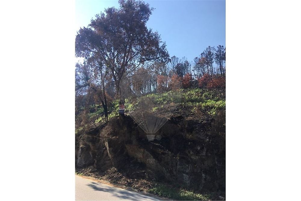 Terrenos - Santa Cruz do Douro e São Tomé