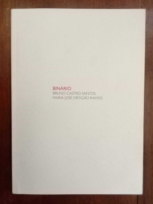 Bruno Castro Santos e Maria José Ortigão Ramos - Binário
