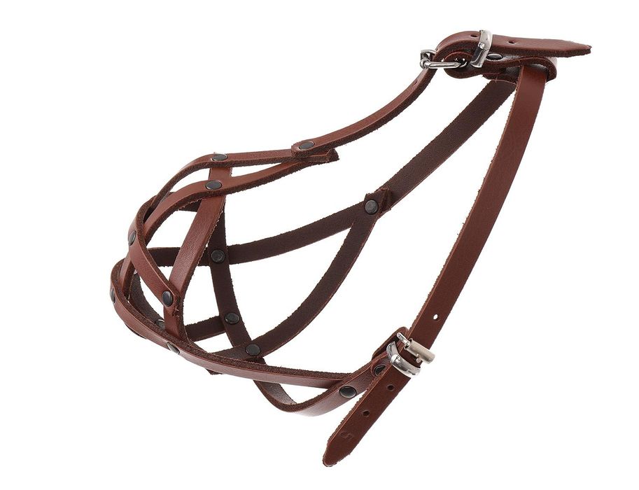 Kaganiec dla psa dla shih tzu skórzany