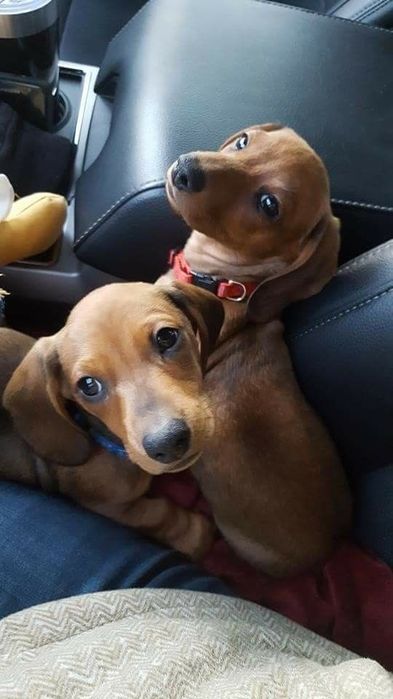 Промінчик у серці дому