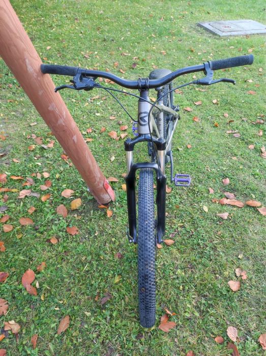Rower Kellys whip 10 raw