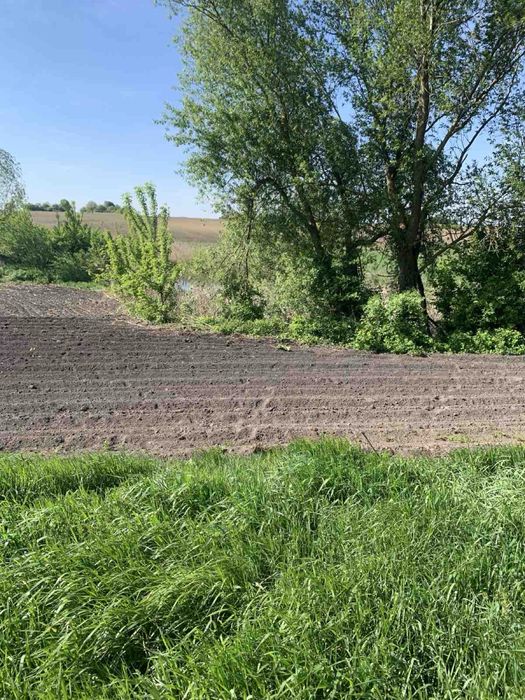 Продам дачу на хуторі