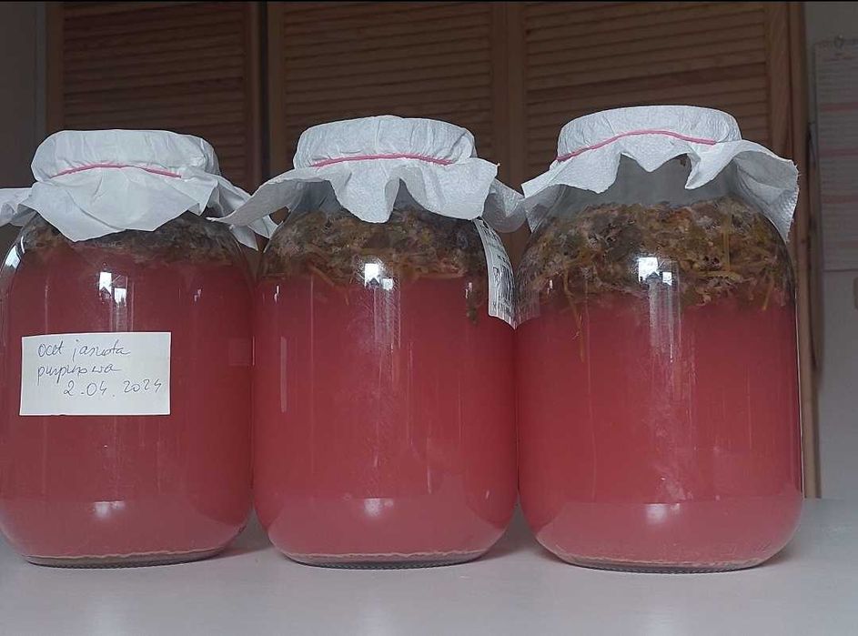 Ocet Jasnota purpurowa trawienie, menstruacja