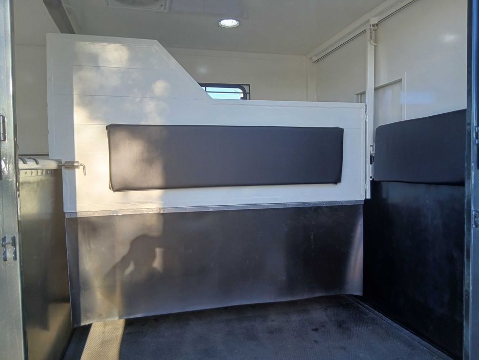 Renault Master transporte de cavalos