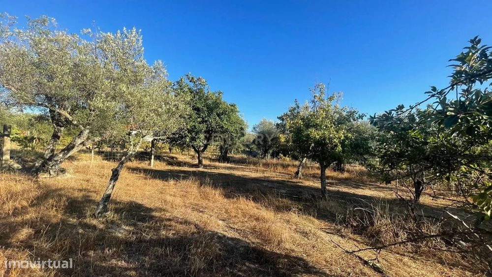 Terreno rústico em Aldeia do Bispo, Penamacor