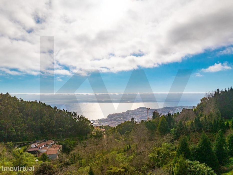 Quinta da Choupana - Um Legado Verde no Coração do Funchal