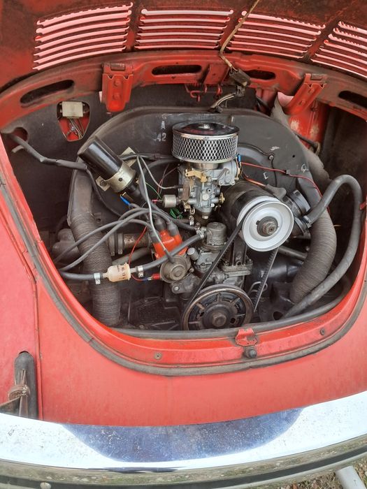 Volkswagen Beetle