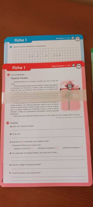 Material didático 1.° Ciclo fichas e soluções