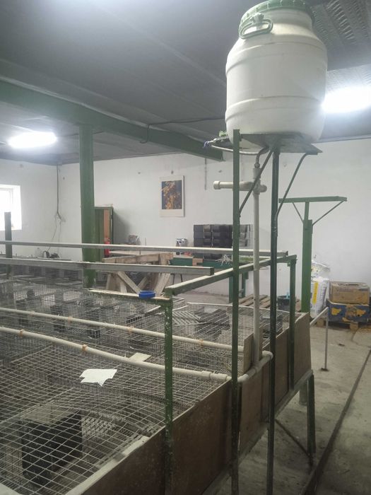 Клітки для кроликів