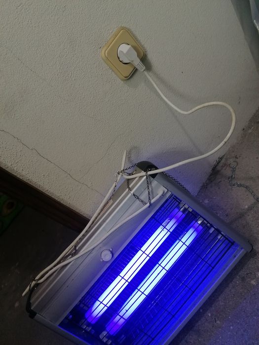 Mosquiteiro novo para desocupar