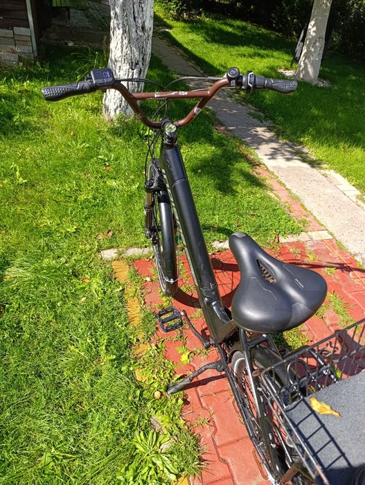 Rower Elektryczny Iguana