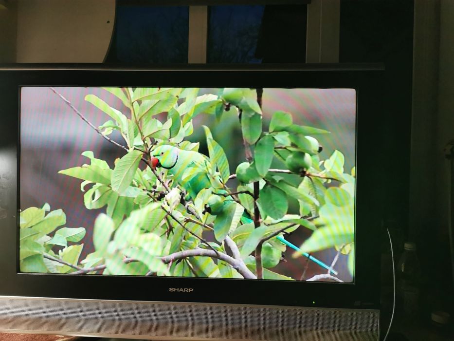Телевізор sharp 32"