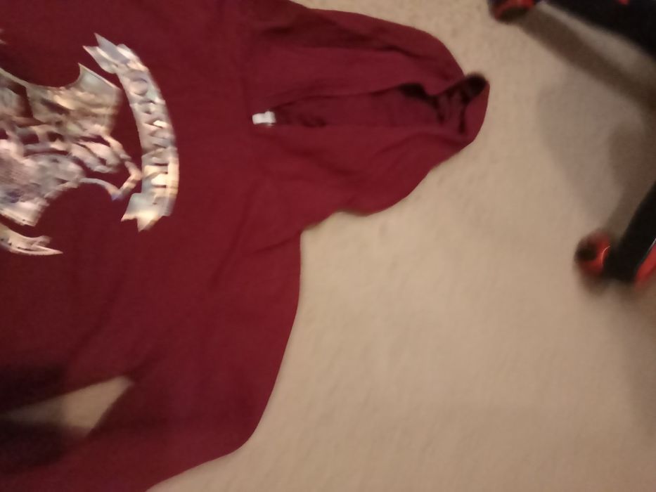 Bluza Harry Potter