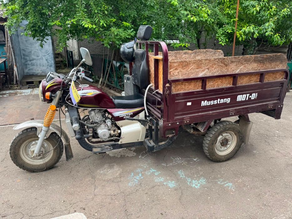 Вантажний трицикл Мустанг MT250ZH-4V