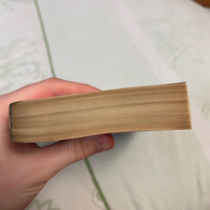 Книга на русском Книжный вор