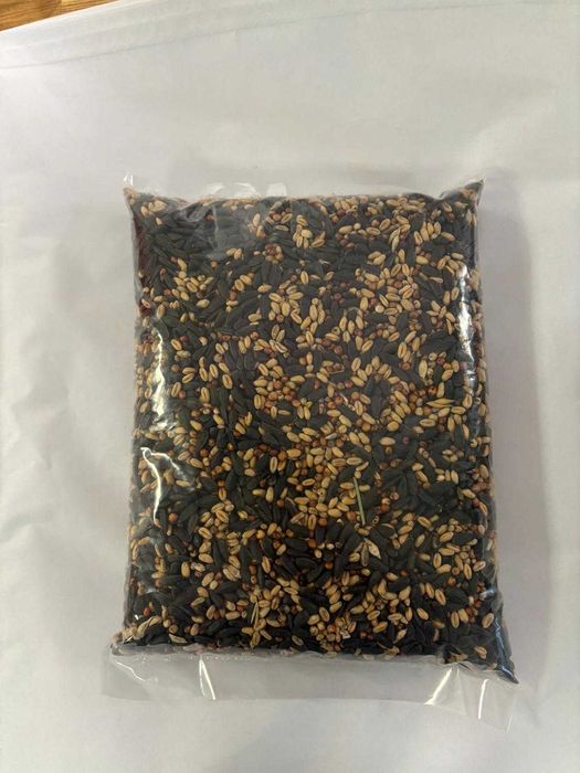 Sorgo suche - polskie