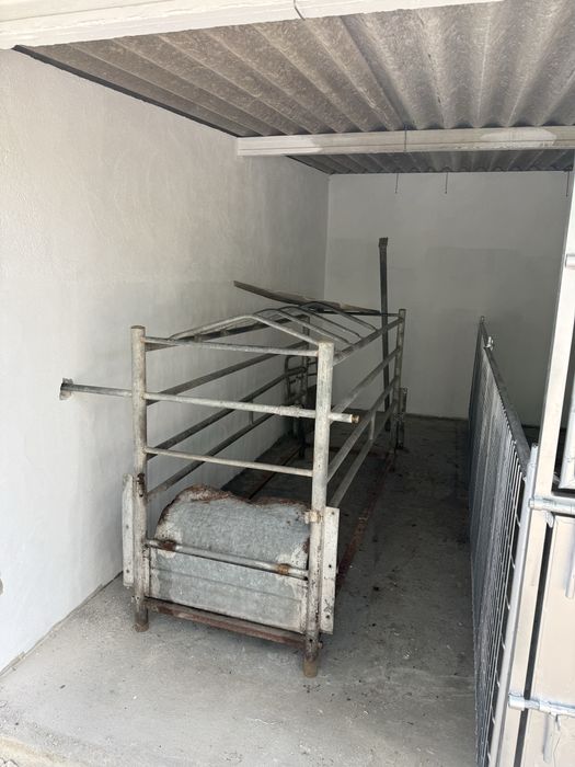 Maternidade para porcas